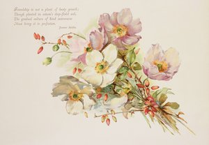 Amizade, vitoriana, ilustração de livro de flores